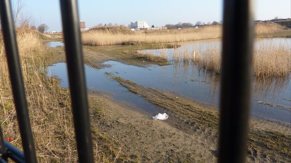 Buiksloterham veld