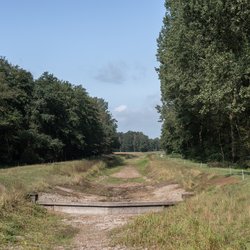 Droge kreek tijdens de hete zomer door AnoukHPhotography (bron: Shutterstock)