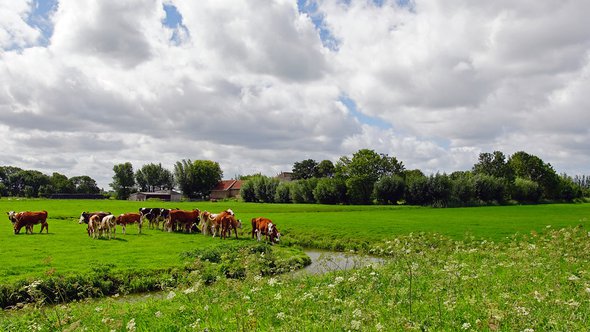 Schipluiden Midden Delfland door kees torn (bron: Flickr)