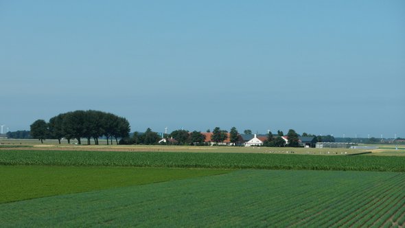 flevoland weiland