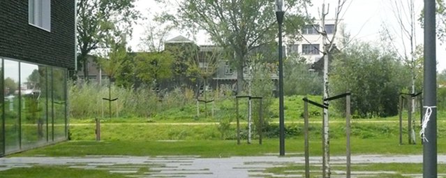 Blauwer en groener: kansen scheppen voor integrale gebiedsontwikkeling in Delft - Afbeelding 3
