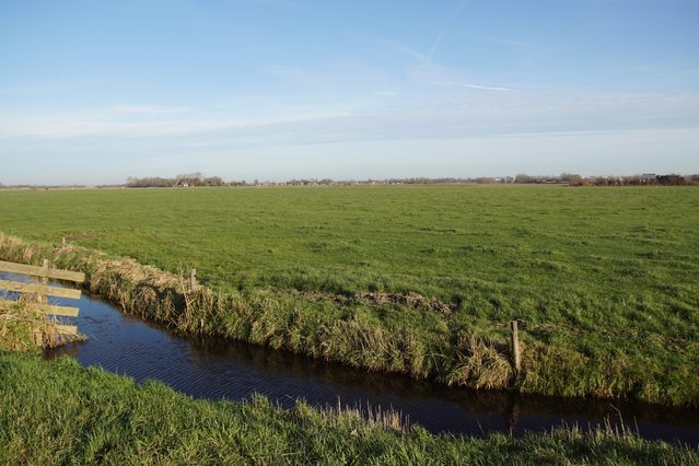 Egmondermeergebied door Thijs de Graaf (bron: shutterstock)