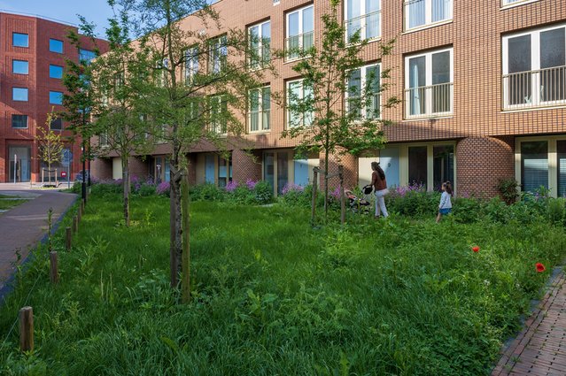 Binnentuin door AM Gebiedsontwikkeling (bron: AM Gebiedsontwikkeling)