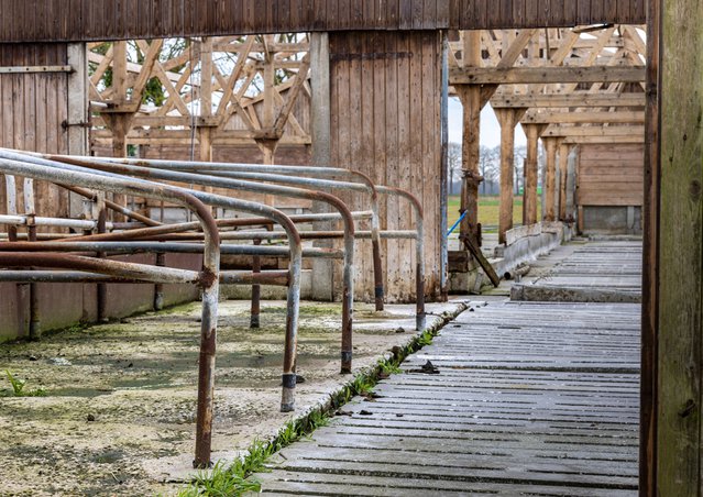 Een oude verlaten en geplunderde boerderij in Nederland door Wirestock Creators (bron: Shutterstock)