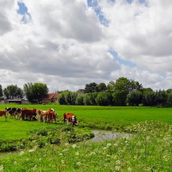 Schipluiden Midden Delfland door kees torn (bron: Flickr)