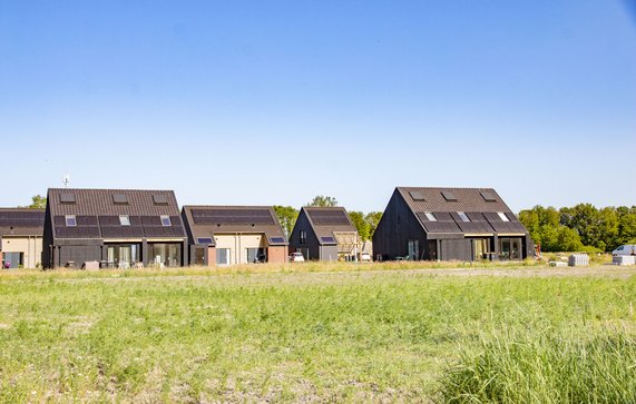 Plan Borgstee Vledder door provincie Drenthe (bron: provincie Drenthe)