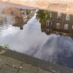Een plasje in Amsterdam door Hazel Plater (bron: shutterstock)