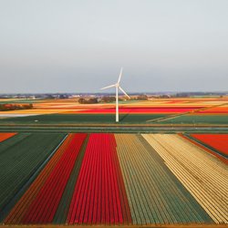 Windmolens Callantsoog_Photo by redcharlie on Unsplash door redcharlie (bron: Unsplash)