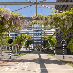 Eindhoven, Nederland door Lea Rae (bron: Shutterstock)