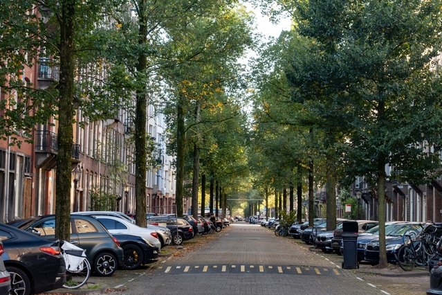 Oud Zuid, Amsterdam, Noord-Holland door barmalini (bron: Shutterstock)