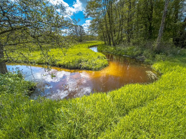 Anloerdiepje, Drenthe door Rudmer Zwerver (bron: Shutterstock)