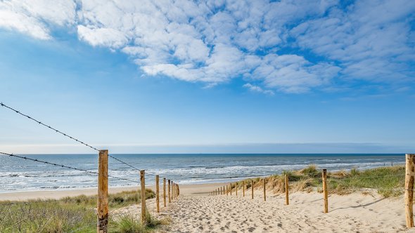 Duinen Noordzee door Corri Seizinger (bron: Shutterstock)