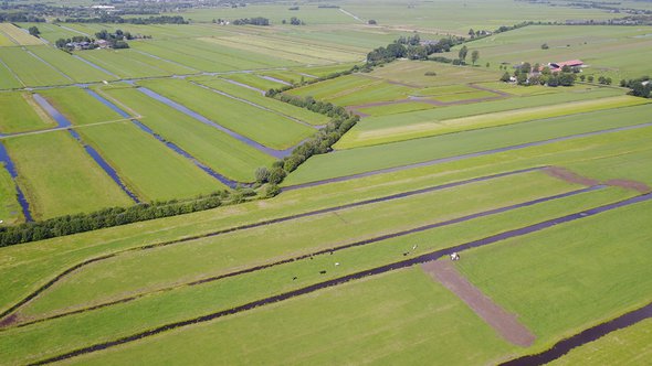 Groene Hart door Peter van Haastrecht (bron: Shutterstock)