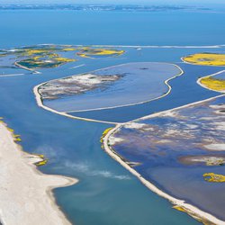 Marker Wadden door R. de Bruijn_Photography (bron: Shutterstock)