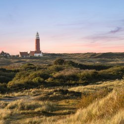 Duinen op Texel. door Jan van der Wolf (bron: Shutterstock)