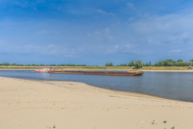 De Waal bij Millingen Aan De Rijn door Photodigitaal.nl (bron: Shutterstock)