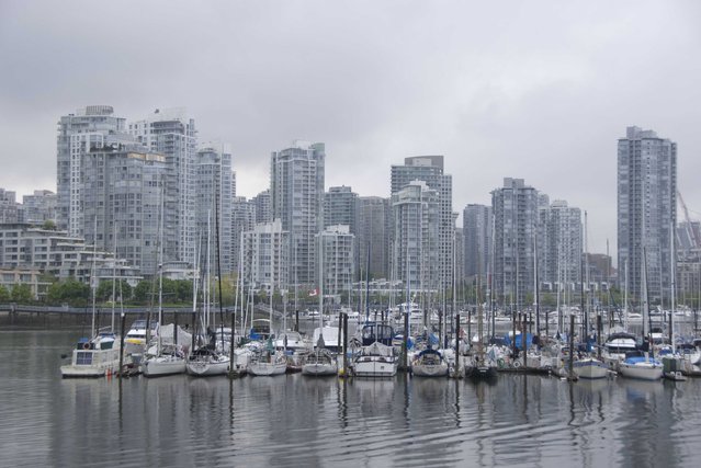 Reisverslag Seattle, Portland en Vancouver - Afbeelding 5