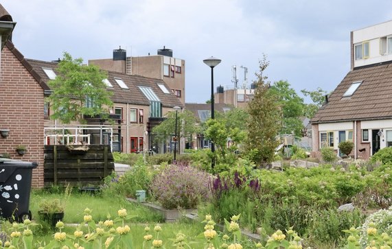Heerhugowaard Nederland door Yuliia24 (bron: Shutterstock)