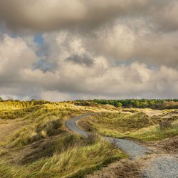 Duinen bij Noordwijk door Photodigitaal.nl (bron: shutterstock.com)