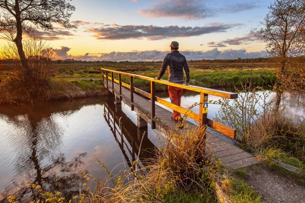 Nederlands landschap Nationaal Parklandschap de Drentsche Aa, provincie Drenthe door Rudmer Zwerver (bron: Shutterstock)