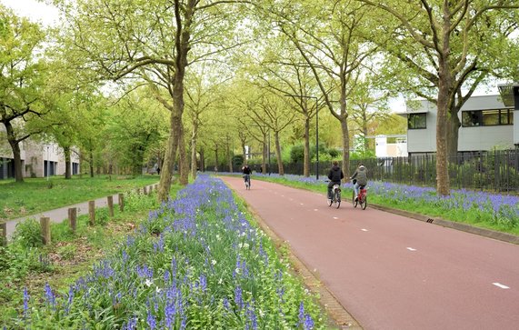 Fietsers richting Philips de Jong-park in Eindhoven door Svetlana K Tarakanova (bron: shutterstock)