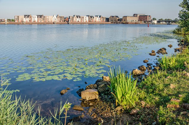 De rivier het Zwarte Water in Zwolle door Frans Blok (bron: Shutterstock)
