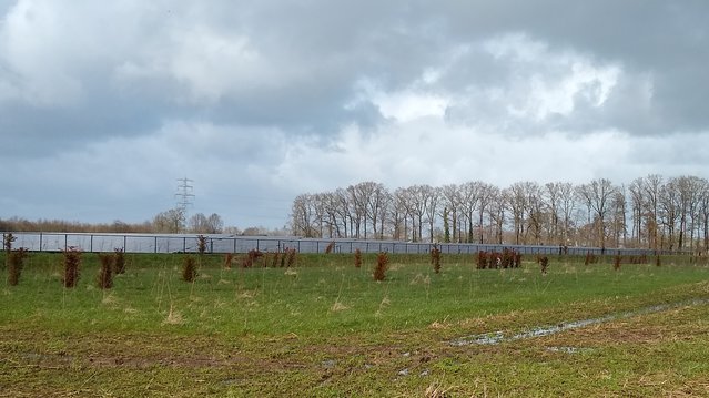 De buitenkant van het zonnepark met hek. De jonge aanplant kan de harde rand nog niet verzachten. door Andrea Prins (bron: Andrea Prins)