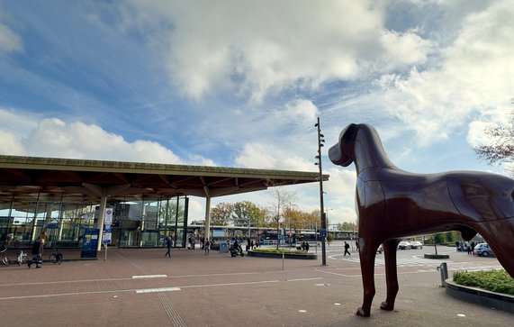 Mannes en station Assen door Kees de Graaf (bron: Kees de Graaf)