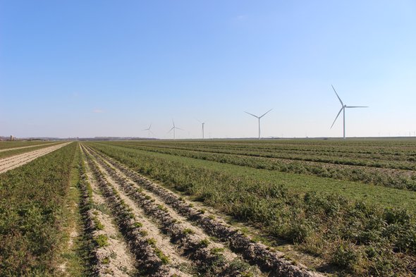 Geen monocultuur, maar afwisselende aanplant. De meeste stroken zijn ook in de winter groen. door Jutta Hinterleitner (bron: Essay Regeneratieve landbouw)