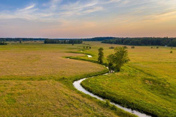 Het kronkelende riviertje Koningsdiep door Rudmer Zwerver (bron: Shutterstock)