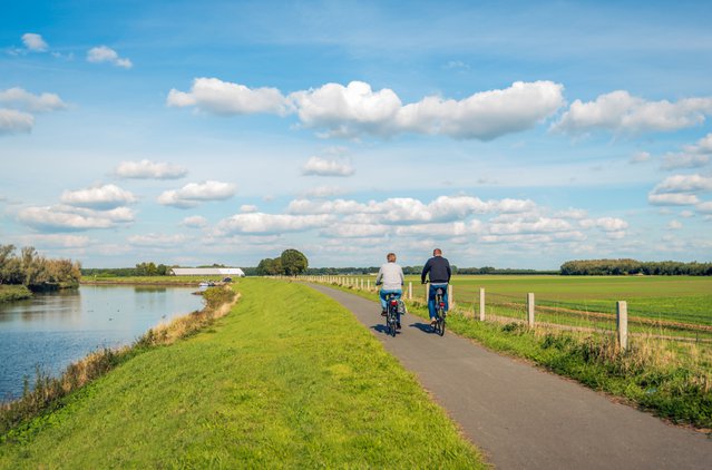 Dijk Biesbosch door Ruud Morijn Photographer (bron: shutterstock.com)