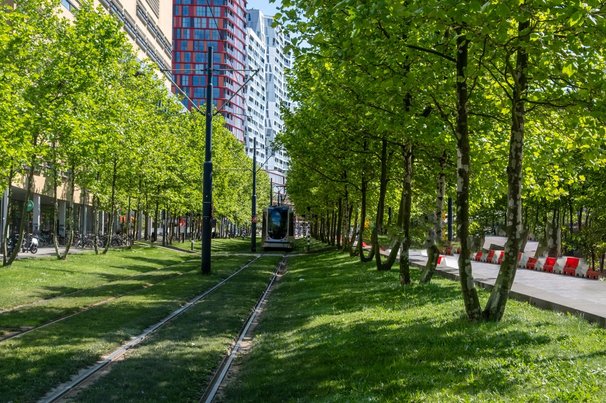 Tram in Rotterdam door rawf8 (bron: Shutterstock)