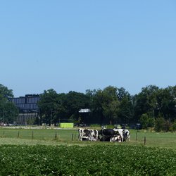 wageningen omgeving2