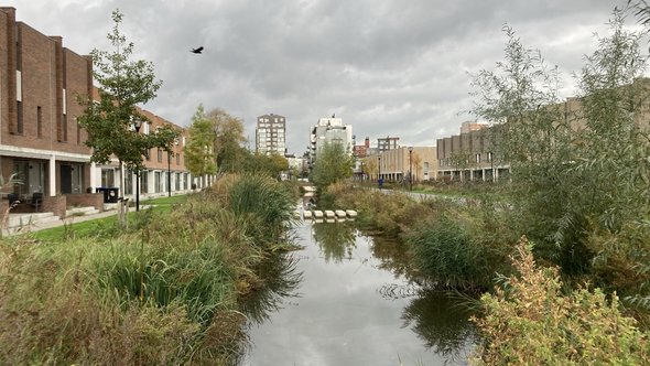 Tromptuinen in Wielwijk met aan weerszijden koopwoningen door Teun van den Ende (bron: Teun van den Ende)