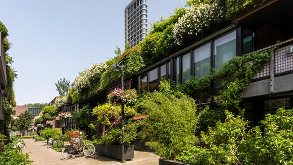 Groene natuurstraat in het centrum van de stad Eindhoven door Lea Rae (bron: Shutterstock)