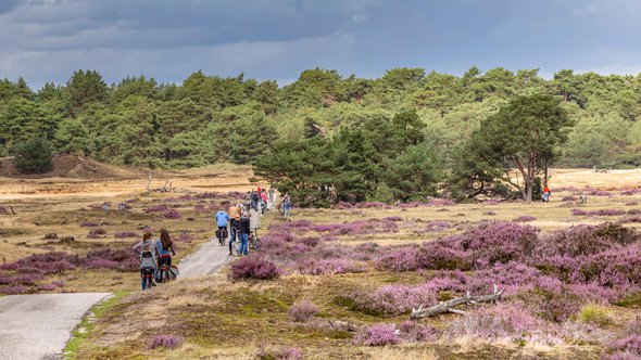 De Veluwe, Ede door INTREEGUE Photography (bron: Shutterstock)