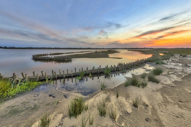 Ecologische natte bermbanken voor golfbescherming in Groningen door Rudmer Zwerver (bron: Shutterstock)