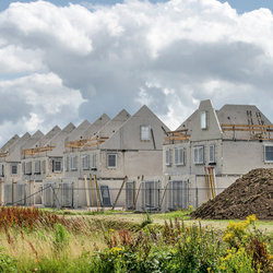 Numansdorp, Nederland door Frans Blok (bron: Shutterstock)