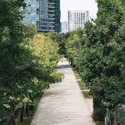 A Road in Seoul Forest Park door catcher_3.3 (bron: Shutterstock)