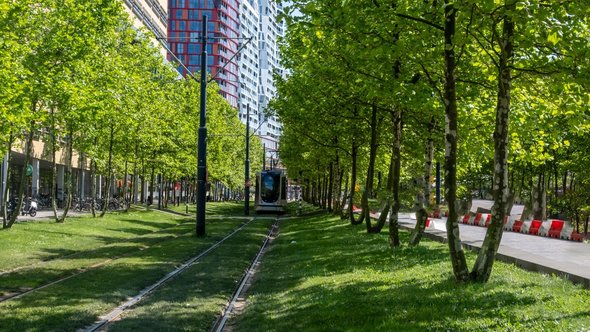 Tram in Rotterdam door rawf8 (bron: Shutterstock)
