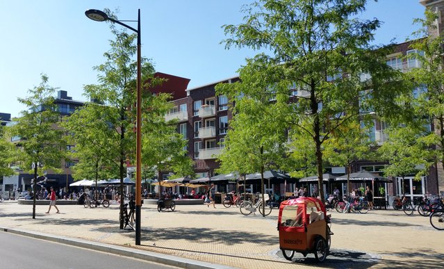 Het centrale plein verrijkt met bomen, Leidsche Rijn, Utrecht door Nanda Sluijsmans (bron: Wikimedia Commons)