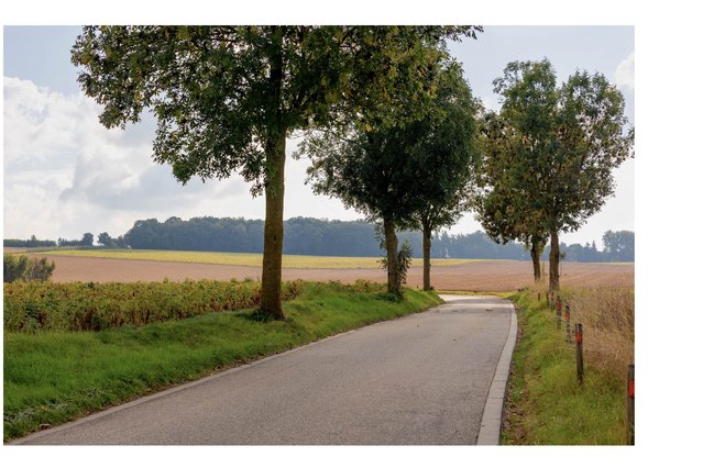 Herfstlandschap door Wut_Moppie (bron: Shutterstock)