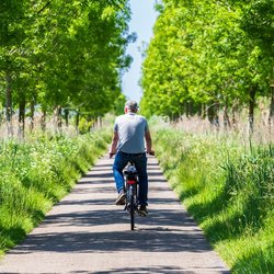 Fietsen in de Tiengemeten Hoeksche Waard door INTREEGUE Photography (bron: Shutterstock)