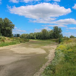 Opgedroogde rivier dichtbij Nijmegen door minhanphotos (bron: shutterstock.com)