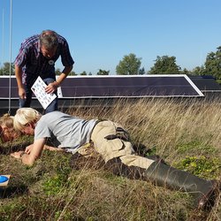 Bodemdierendagen 2018 door Froukje Rienks (bron: BioDiversity)