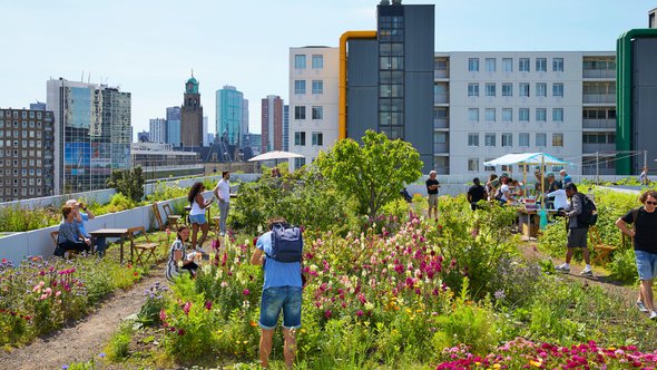 Dakterrassen in Rotterdam. door R. de Bruijn_Photography (bron: Shutterstock)