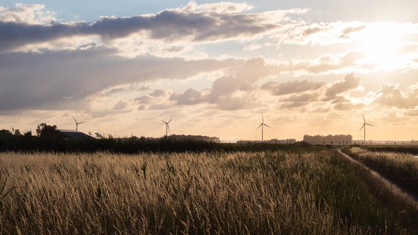 Landschap windmolens door Niels Bosman (bron: Unsplash)