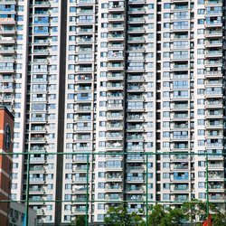 pony96-tall-building-1891030 door Pony96 (bron: Pixabay)