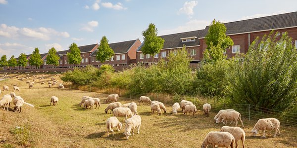 Oolderveste Roermond door Raymond de Vries (bron: Raymond de Vries)