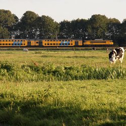 groen grondbeleid landelijk gebied